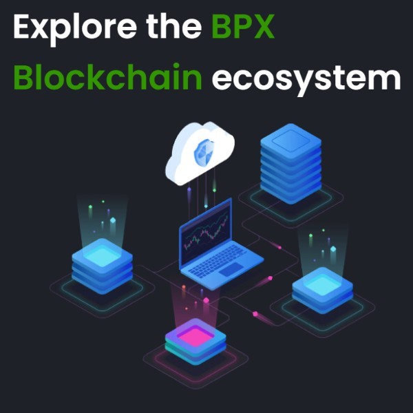 The BPX project - or how to connect two separate worlds