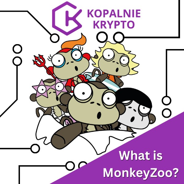 What is MonkeyZoo and why did the creators choose the Chia blockchain?