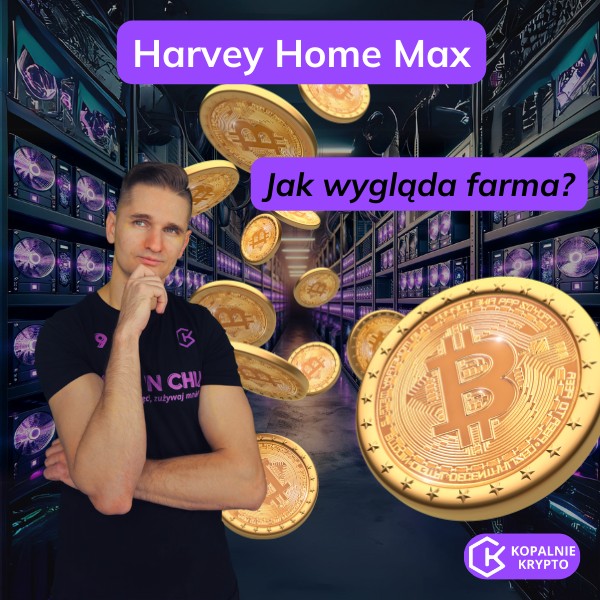 Jak wygląda farma Harvey Home Max?