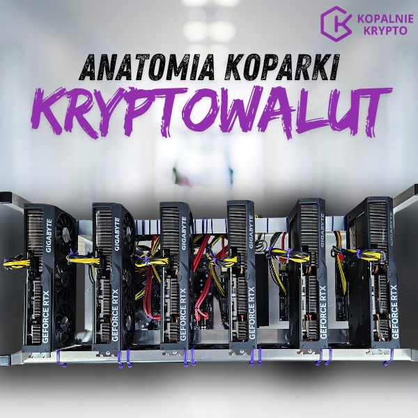 Jak zbudowana jest koparka do kryptowalut?