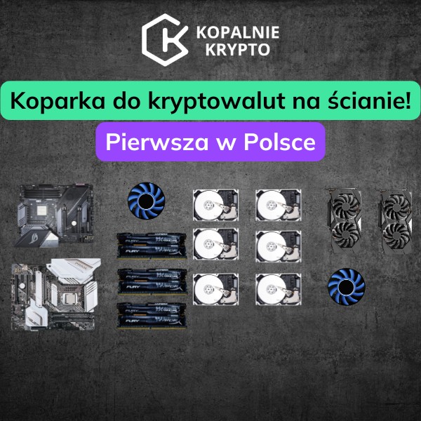 Koparka Kryptowalut ląduje na ścianie